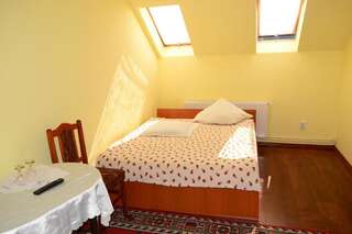 Гостевой дом Pensiunea Floare de Colt Борсек Двухместный номер с 1 кроватью или 2 отдельными кроватями и собственной ванной комнатой-19