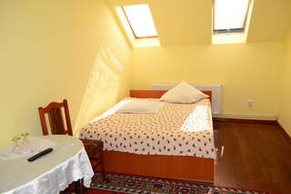 Гостевой дом Pensiunea Floare de Colt Борсек Двухместный номер с 1 кроватью или 2 отдельными кроватями и собственной ванной комнатой-2